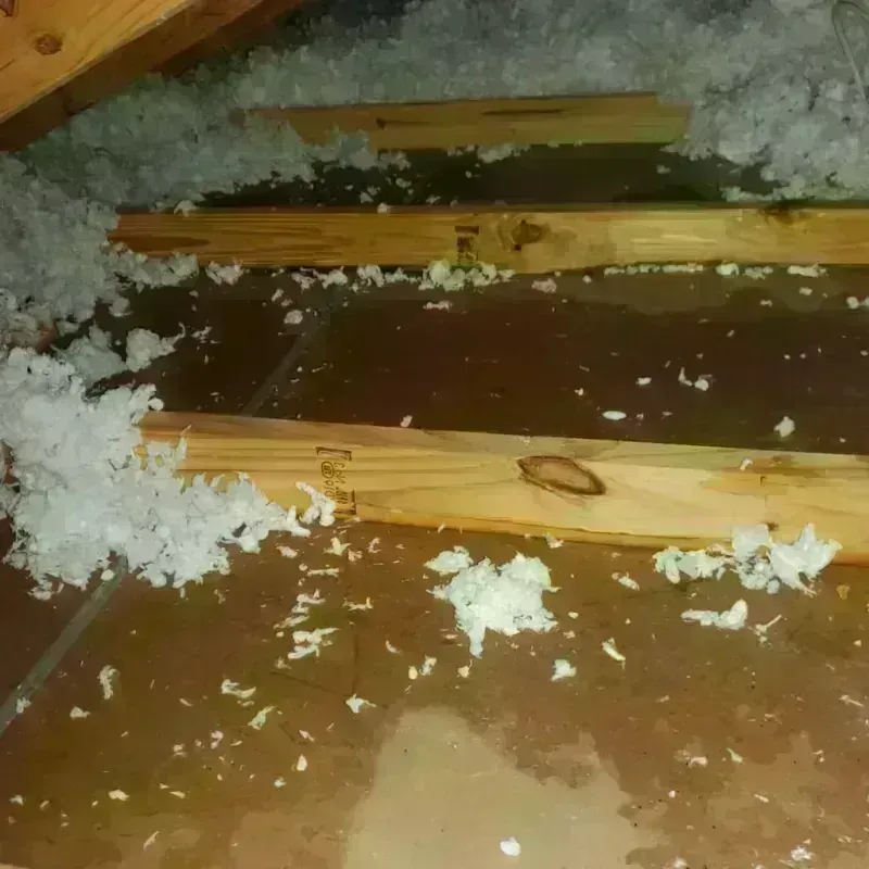 Attic Water Damage in East Bridgewater, MA